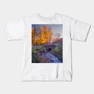 Old Stone Bridge, Cumbria Kids T-Shirt